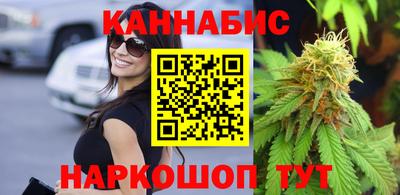 шишки Славгород
