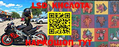 шишки Славгород
