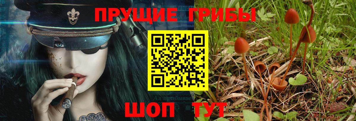 Печора  Галлюциногенные грибы Psilocybe  Псилоцибиновые грибы ЛСД  Вход с VPN 