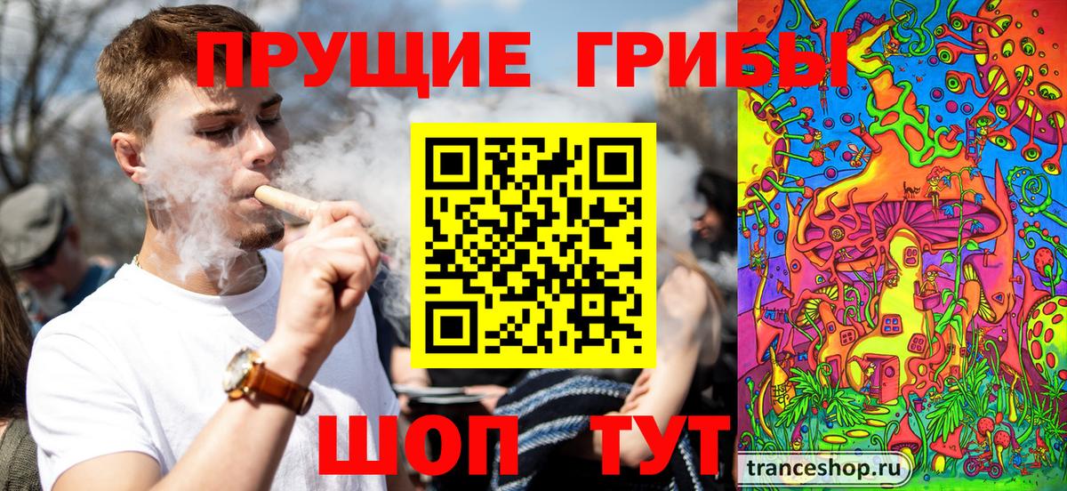 Галлюциногенные грибы MAGIC MUSHROOMS Печора